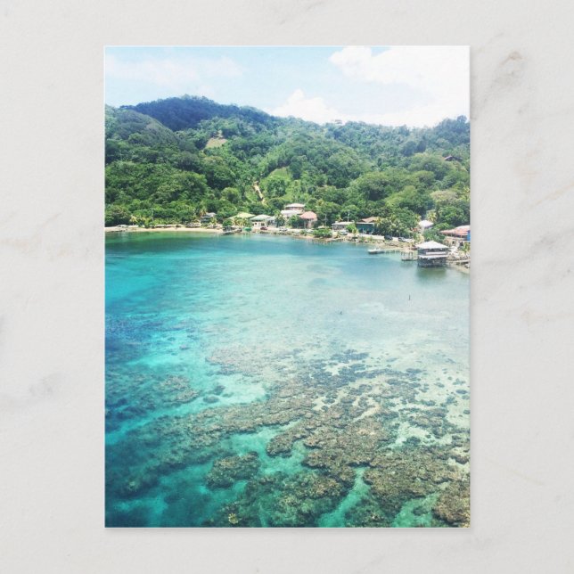 Postal Arrecife de coral de Gran Caimán (Anverso)