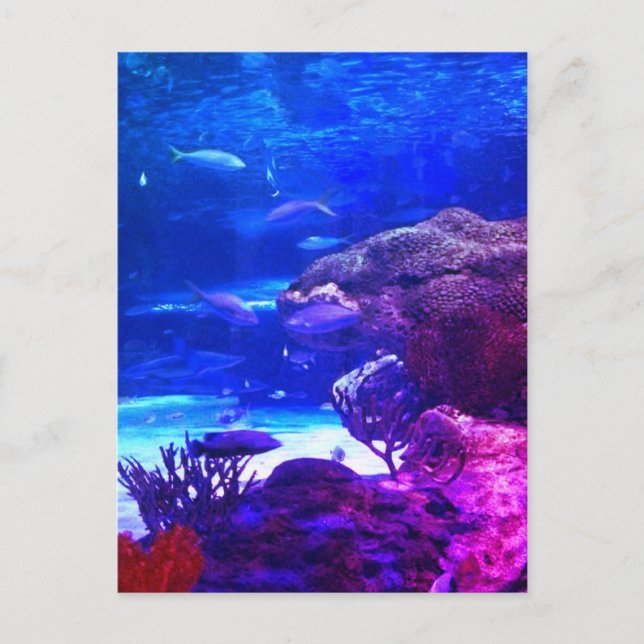 Postal Arrecife de coral personalizado (Anverso)