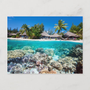 Postal Arrecife de coral y resort tropical