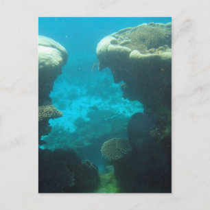 Postal Arrecife de Ningaloo