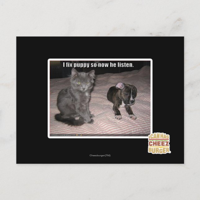 Postal Arreglar cachorrito (Anverso)