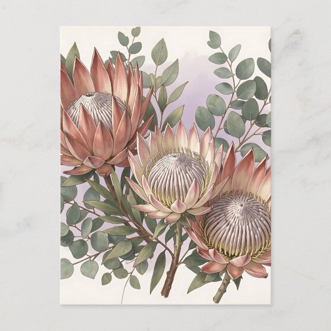 Postal Arreglo Botánico de Eucalipto Protea Rosa (Anverso)