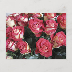 Postal Arreglo de Sweetness Rose en Hacienda Compania