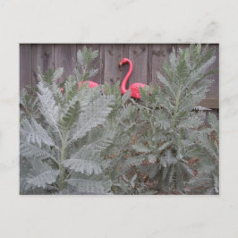 Postal Arreglo en gris y rosa