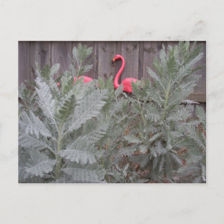 Postal Arreglo en gris y rosa