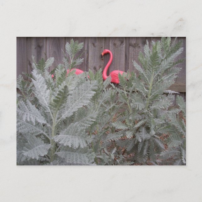 Postal Arreglo en gris y rosa (Anverso)