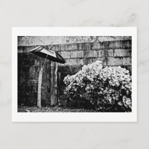 Postal arriba contra la lluvia