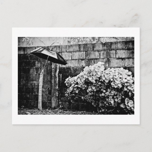 Postal arriba contra la lluvia (Anverso)