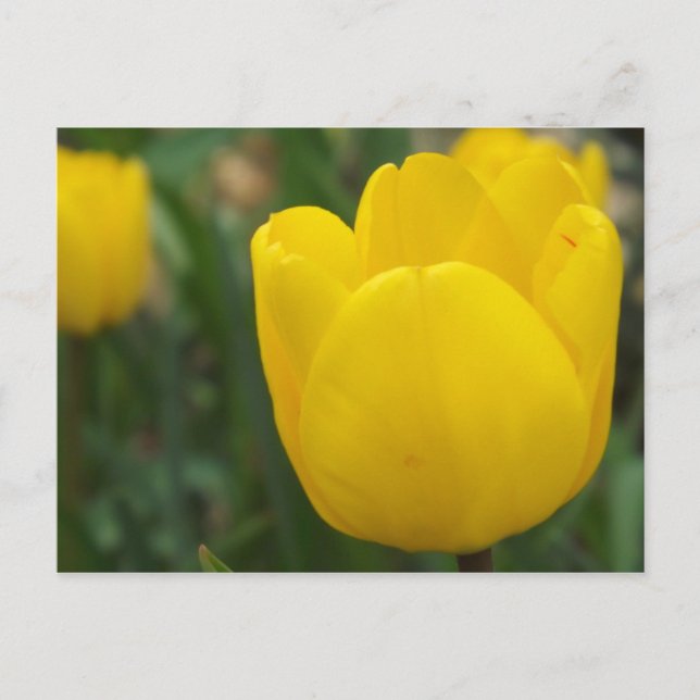 Postal Arriba y cerca y personal (Anverso)