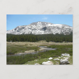 Postal Arroyo de alta montaña de los países I