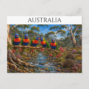 Postal Arroyo de Loros Arcoíris y Equidnas de Australia
