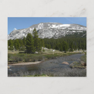 Postal Arroyo de montaña de High Country II en Yosemite