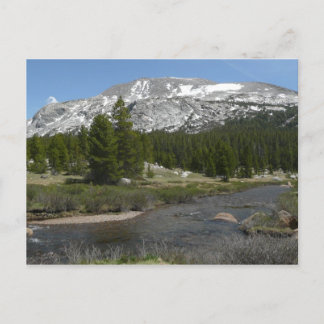 Postal Arroyo de montaña de High Country II en Yosemite