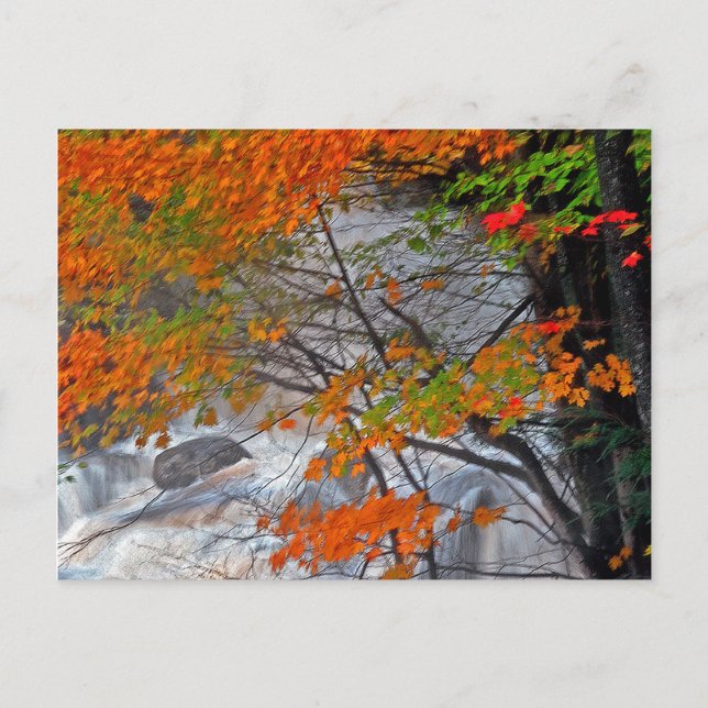 Postal Arroyo de montaña de Hunter (Anverso)