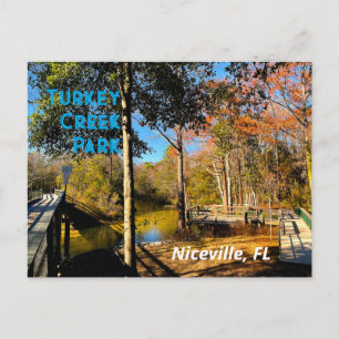Postal Arroyo de Pavo Niceville Florida