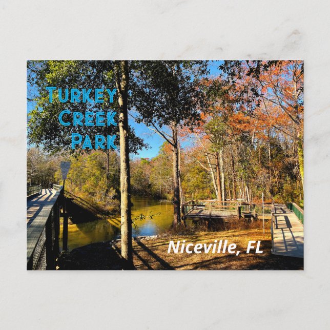 Postal Arroyo de Pavo Niceville Florida (Anverso)