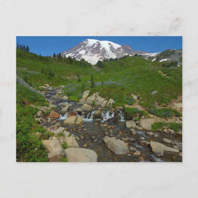 Postal Arroyo Edith en el Parque Nacional Mount Rainier (Anverso)