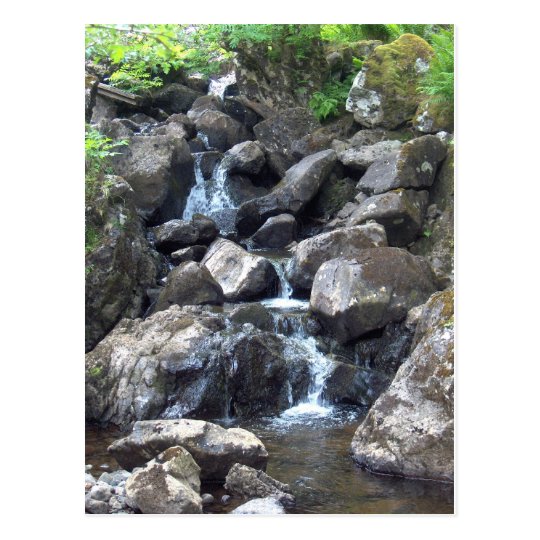 Postal Arroyo escocés