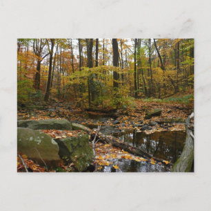Postal Arroyo Fall con reflejo en el parque Laurel Hill