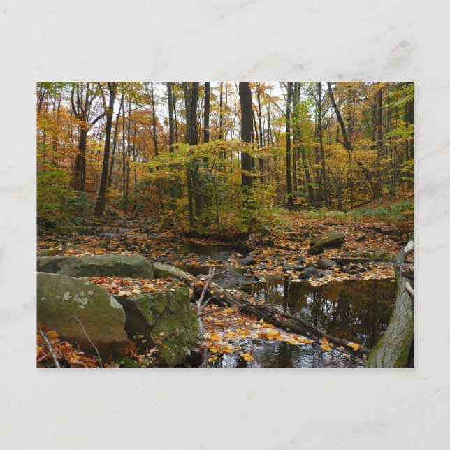 Postal Arroyo Fall con reflejo en el parque Laurel Hill (Anverso)