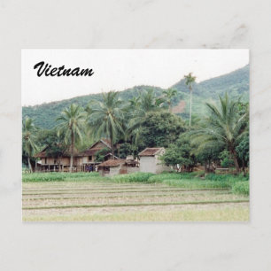 Postal arrozales de vietnam