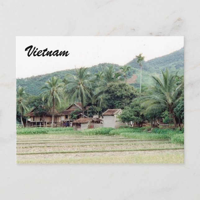 Postal arrozales de vietnam (Anverso)