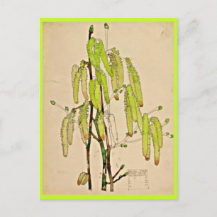 Postal Art-Charles Rennie Mackintosh 11
