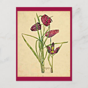 Postal Art-Charles Rennie Mackintosh 18