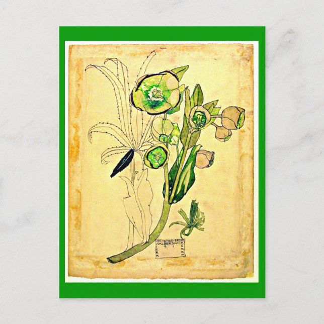 Postal Art-Charles Rennie Mackintosh 19 (Anverso)