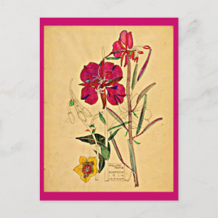Postal Art-Charles Rennie Mackintosh 26