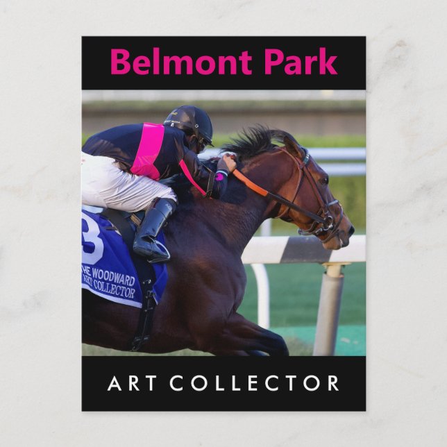 Postal Art Collector & Saez (Anverso)