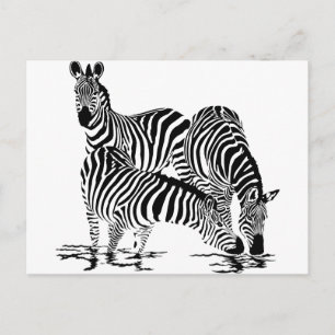 Postal Art Deco Zebra