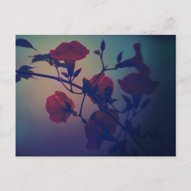 Postal Art Postcard ”Cinematic ＆ Noir” (Anverso)