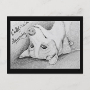 Postal Artaius el Corgi