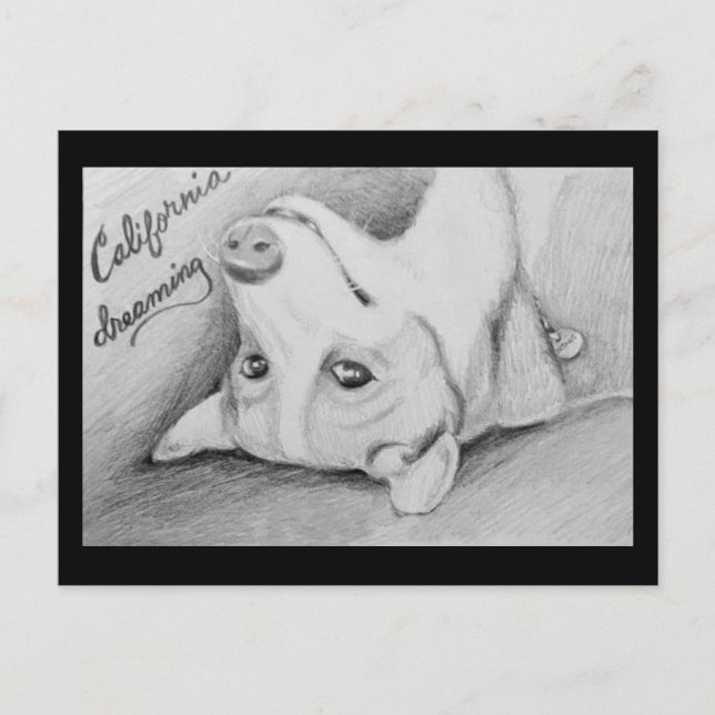 Postal Artaius el Corgi (Anverso)