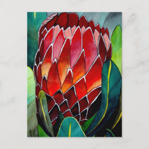 Postal Arte acuarela original de la flor Protea Roja