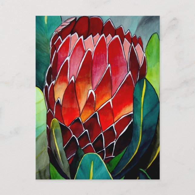 Postal Arte acuarela original de la flor Protea Roja (Anverso)