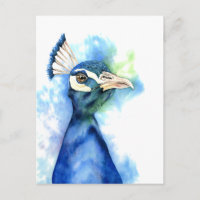 Arte acuático de pájaro de pavo real