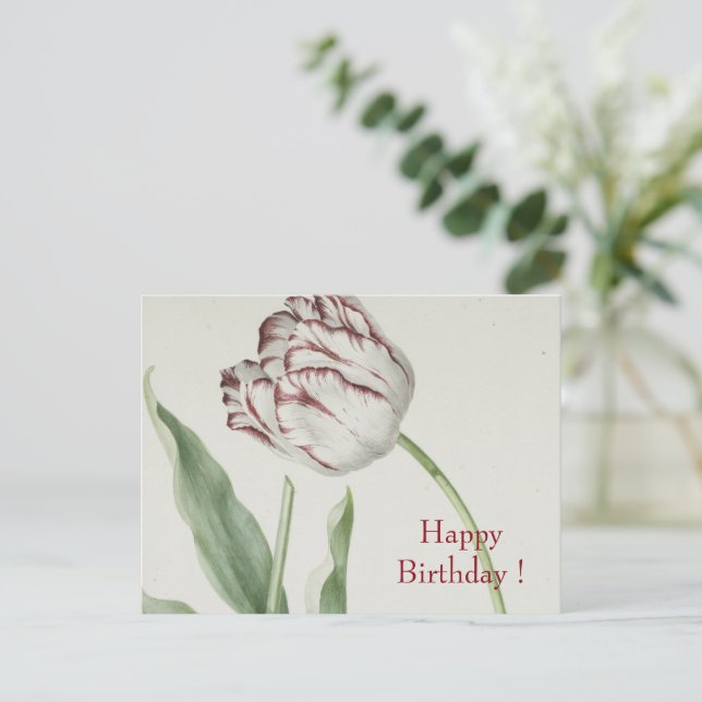 Postal Arte Antiguo de Cumpleaños de Tulipán Blanco y Roj (Anverso de pie)