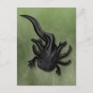 Postal Arte Axolotélico Melanoico Negro