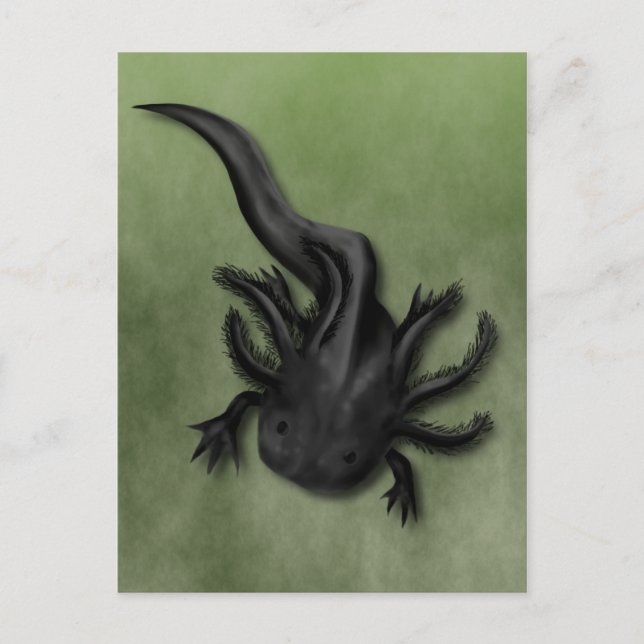 Postal Arte Axolotélico Melanoico Negro (Anverso)