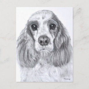 Postal Arte blanco rojo de Cocker Spaniel