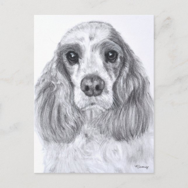 Postal Arte blanco rojo de Cocker Spaniel (Anverso)