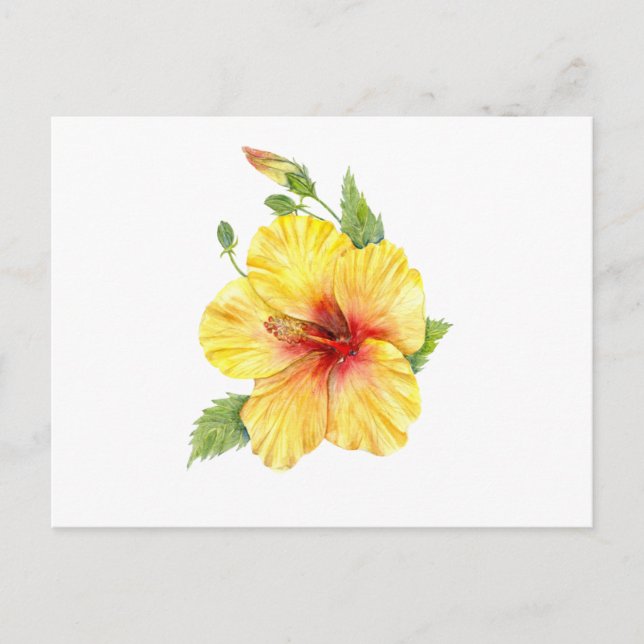 Postal Arte botánico amarillo hibiscus (Anverso)