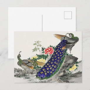 Postal Arte Botánico Chinoiserie Pavo Real Azul Peonía Ro