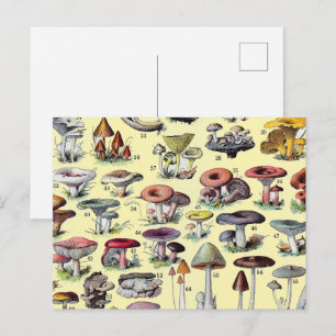 Postal Arte Botánico Encantador de Cabaña de Hongos Franc