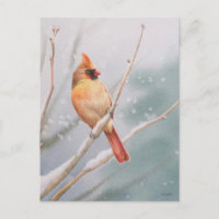 Arte de acuarela de pájaro cardenal del norte feme