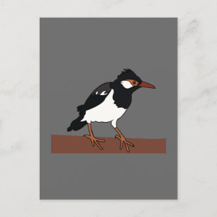 Postal Arte de ave Myna India con patas negras