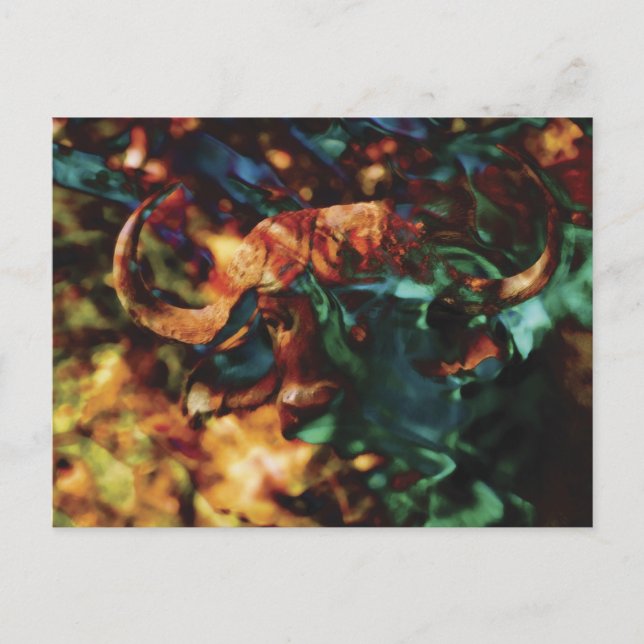 Postal Arte de Buffalo Ripple (Anverso)