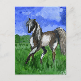 Postal Arte de caballo Dreamer pinto